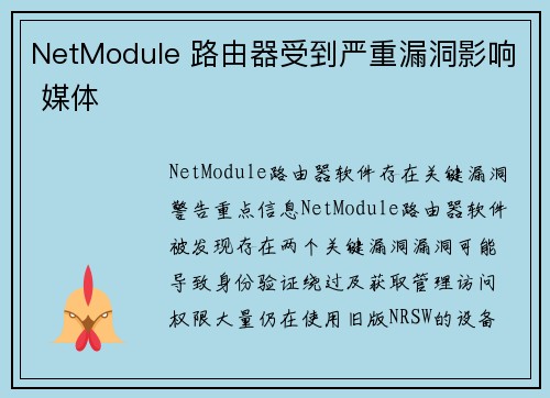 NetModule 路由器受到严重漏洞影响 媒体
